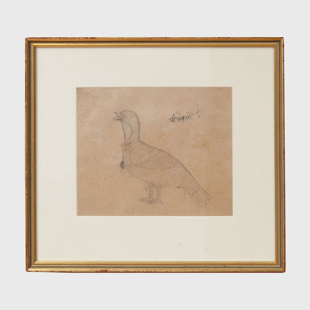 Appraisal: Indian School Yellow Cock Ink on paper inscribed upper right