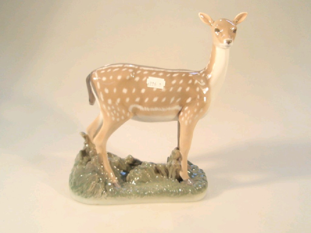 Appraisal: Royal Copenhagen model of a standing fallow deer amid grasses