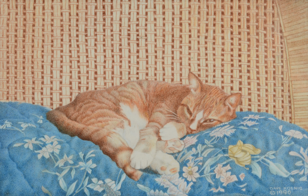 Appraisal: KOENIG Dave American th Century ''Catnap'' Watercolor sight size ''