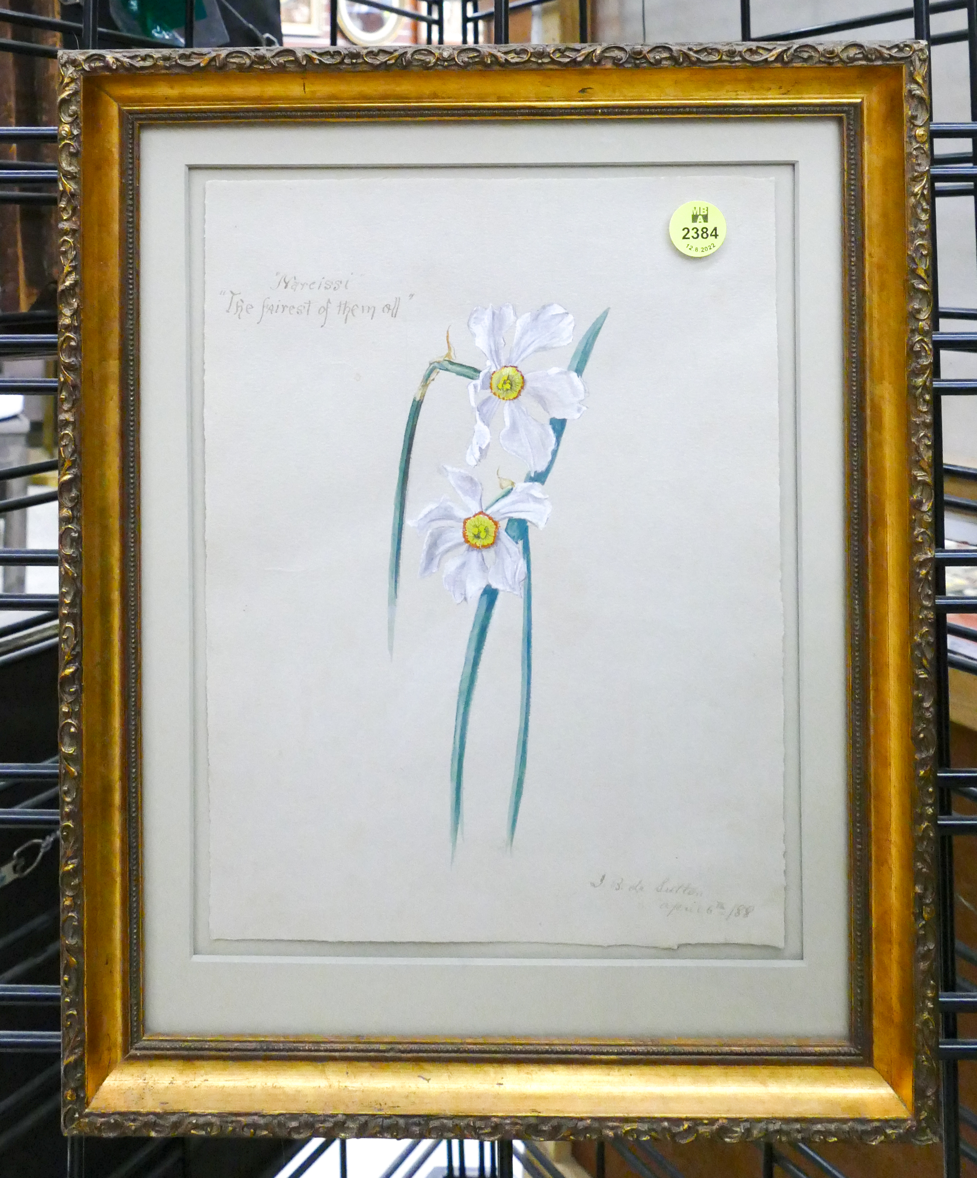 Appraisal: J B Sutton Narcissi Floral Watercolor Framed- x ''