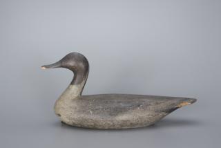 Appraisal: Early High-Head Pintail Drake Phineas Reeves - Long Point ON