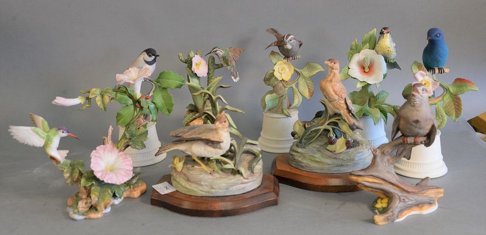 Appraisal: Group of nine porcelain birds Boehm hummingbird and morning glory