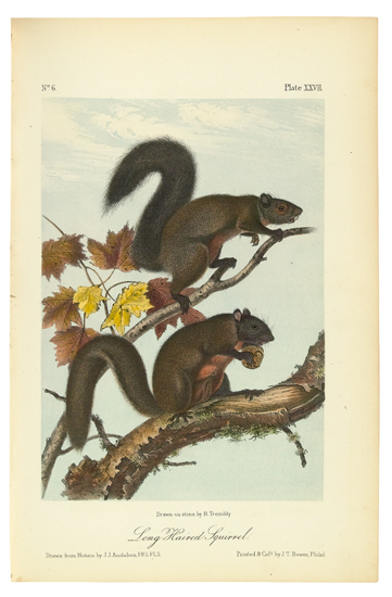 Appraisal: AUDUBON JOHN JAMES and BACHMAN JOHN The Quadrupeds of North