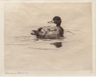 Appraisal: Frank W Benson - Single Duck signed Frank W Benson