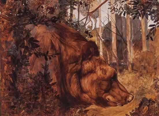 Appraisal: Edward Julius Detmold - A bear in the forest watercolour