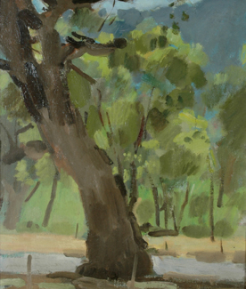 Appraisal: Colin Colahan - Park View oil on board signed 'Colin