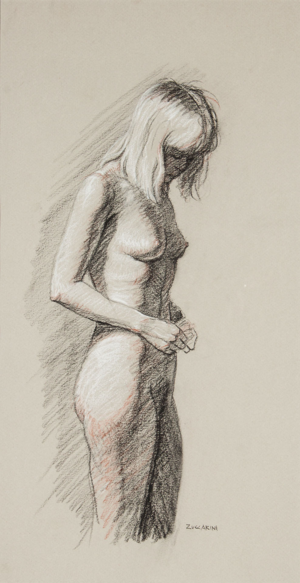 Appraisal: David Zuccarini Nude Study conte crayon on paper American b