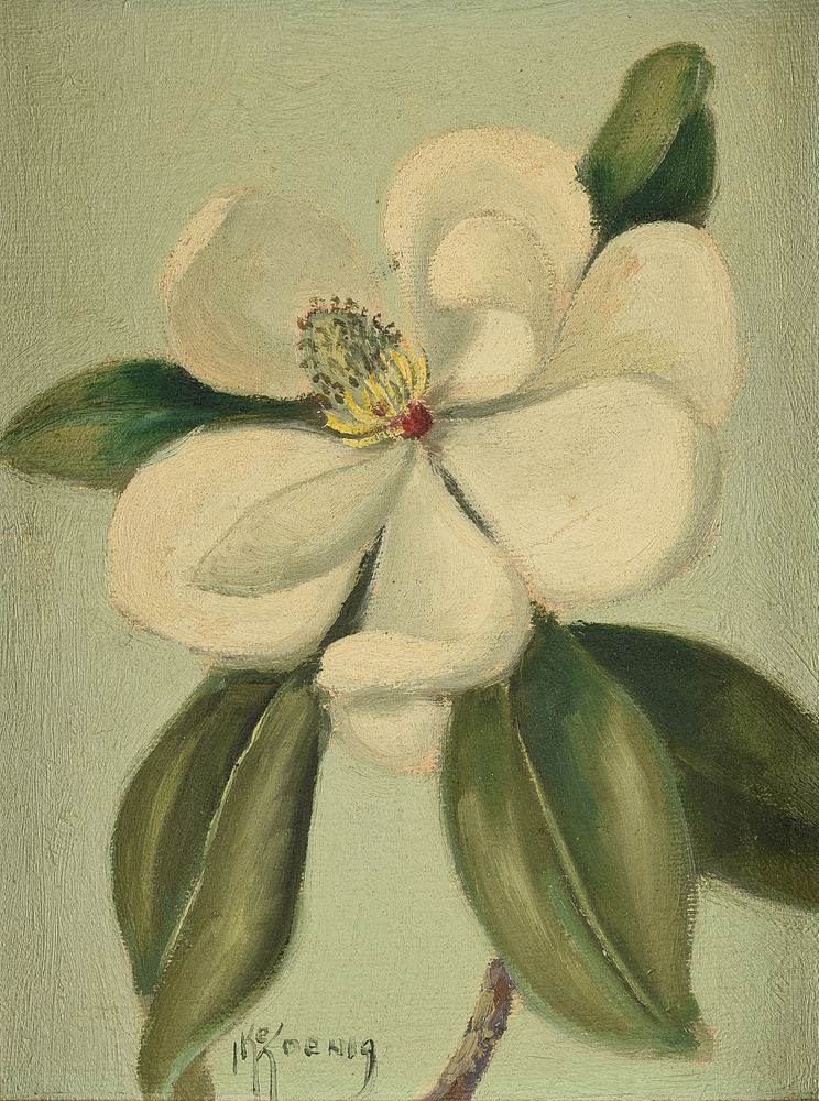 Appraisal: IKE KOENIG American Texas - A PAINTING Summertime Magnolia Bloom