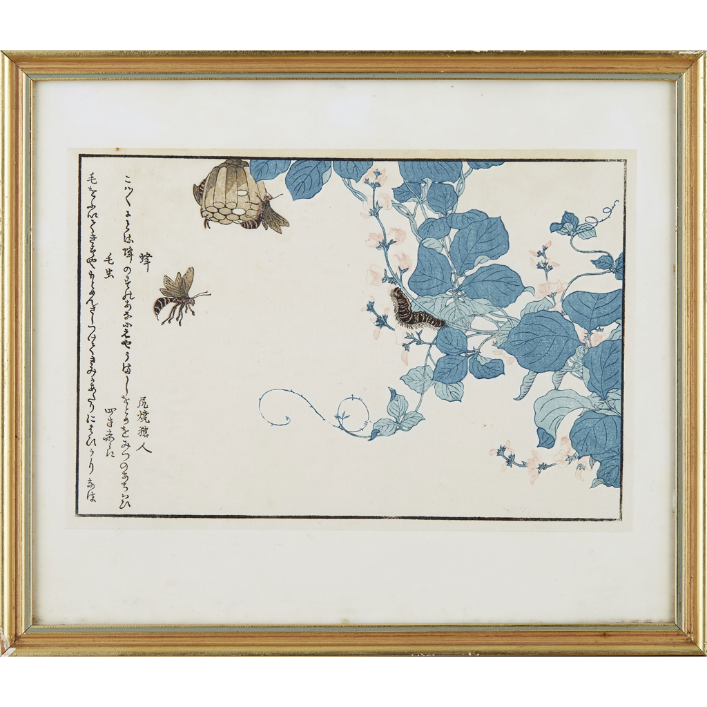 Appraisal: TWELVE COLOUR WOODBLOCK PRINTS AFTER THE PICTURE BOOK 'SELECTED INSECTS'