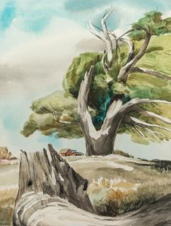 Appraisal: TED HAWKINS - WATERCOLOR ON PAPER Signed lower left sight