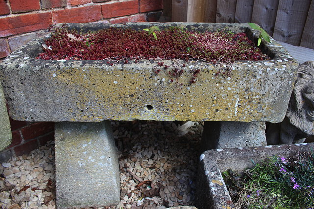 Appraisal: AN ANTIQUE RECTANGULAR STONE TROUGH cm wide