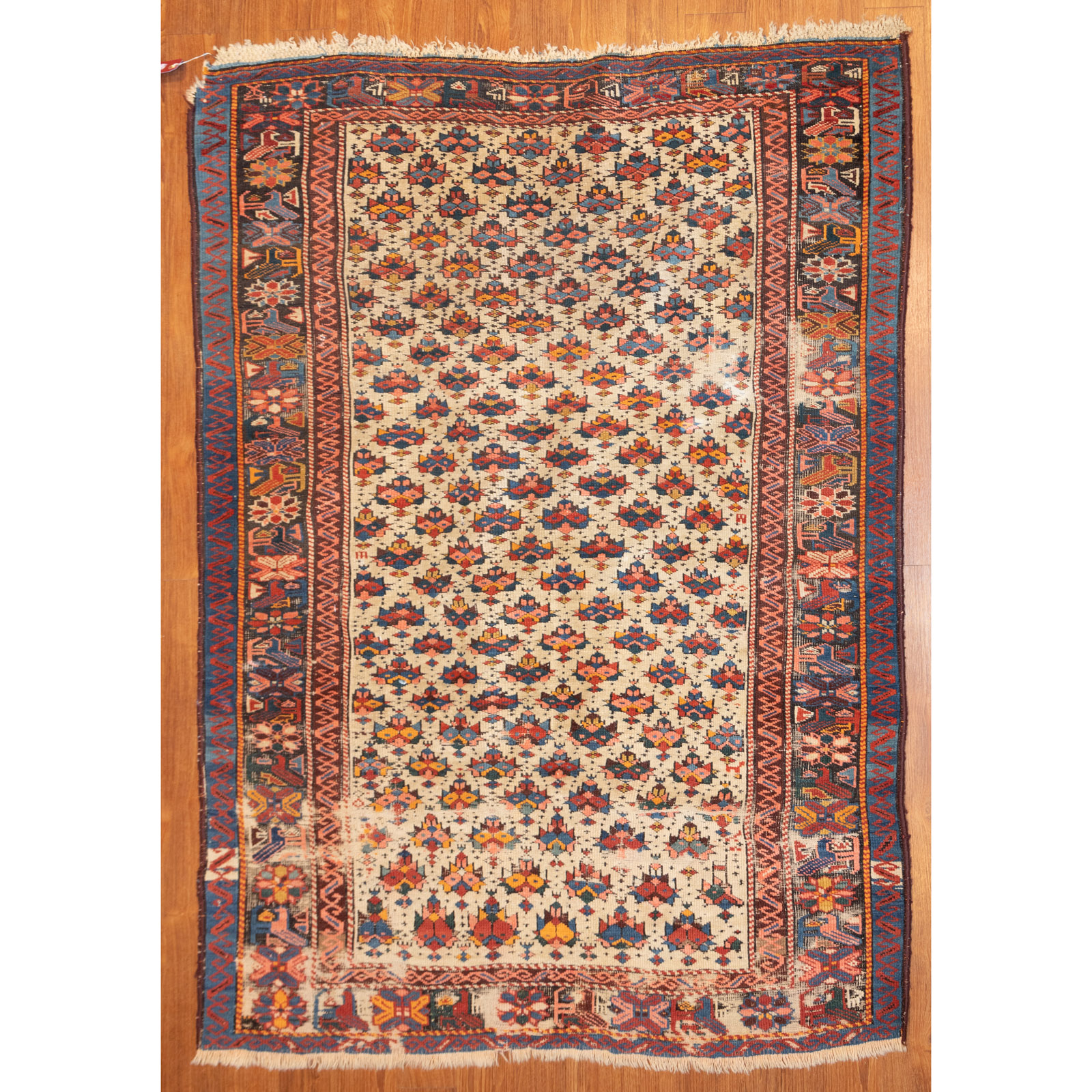 Appraisal: ANTIQUE SHIRVAN RUG CAUCASUS X First quarter- th century hand-knotted