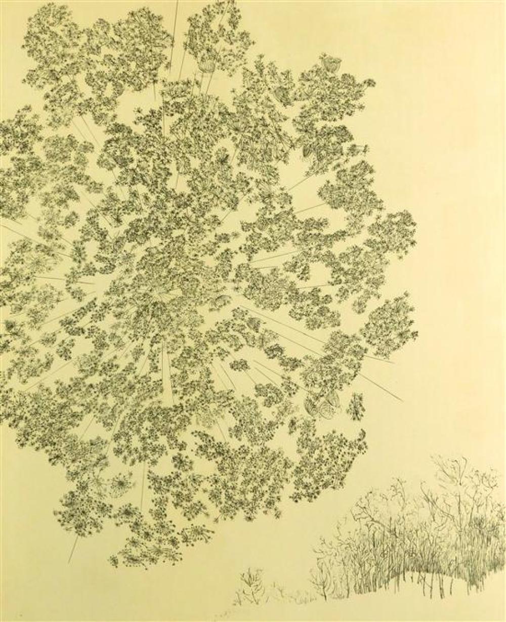 Appraisal: Peter Takal United States - Queen Anne's Lace Winter Etching