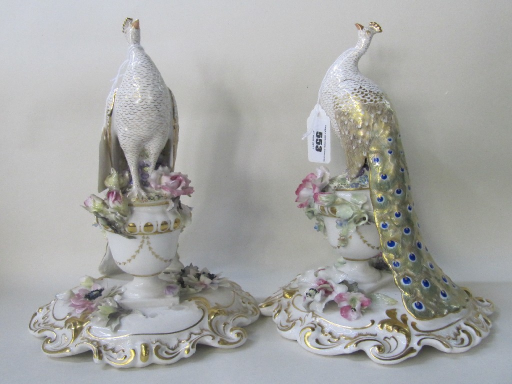 Appraisal: Pair of Royal Crown Derby porcelain peacocks on urns painted