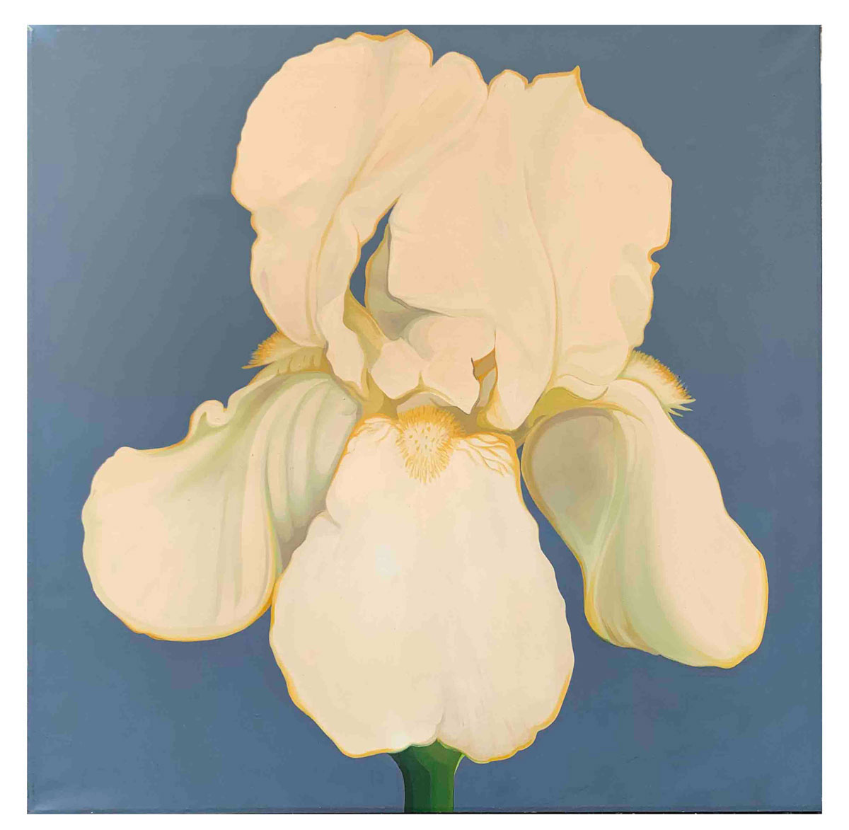 Appraisal: NESBITT Lowell American - ''Iris '' Oil Canvas '' x