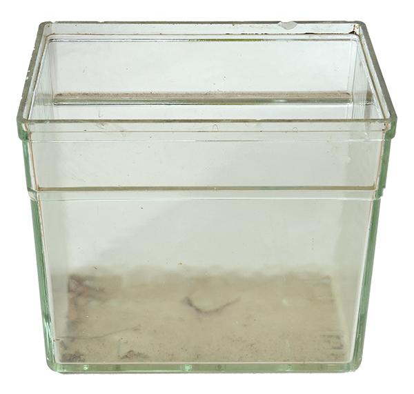 Appraisal: GLASS BATTERY JAR HEIGHT X WIDTH X CM DEPTH GLASS