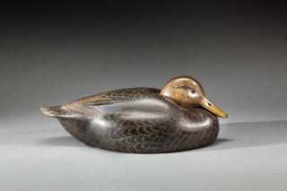 Appraisal: Resting Black Duck John W McLoughlin - Bordentown NJ A