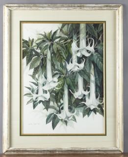 Appraisal: Daryl Trott - Australian Angel's Trumpets watercolor signed and dated