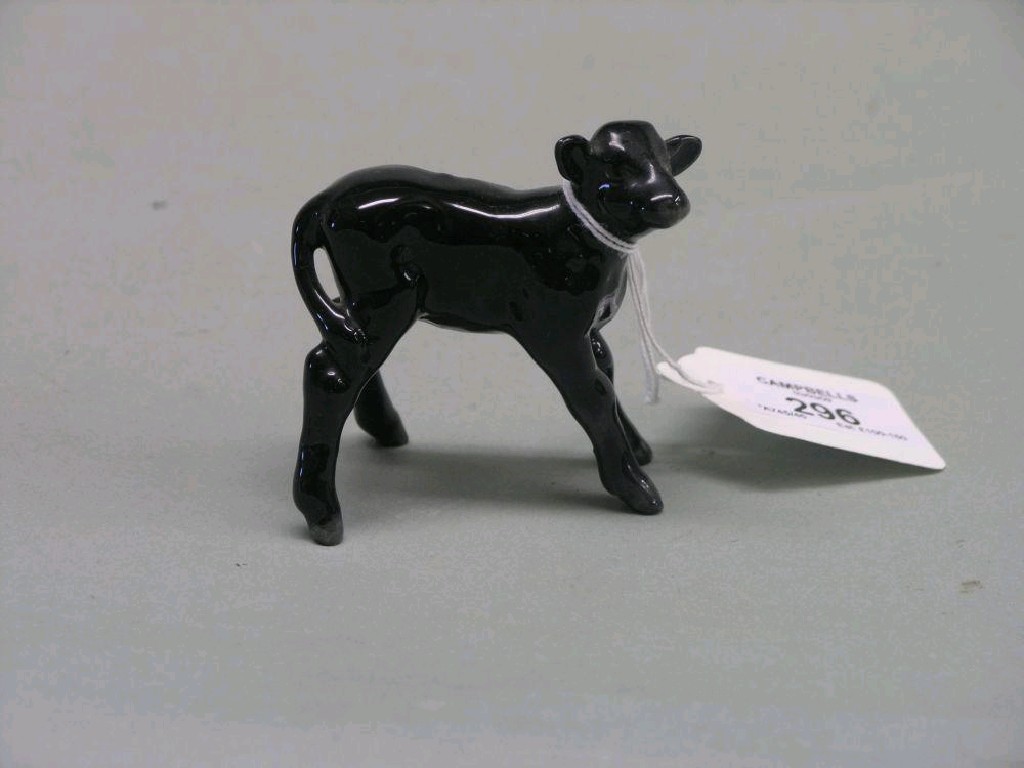 Appraisal: A Beswick Aberdeen Angus Calf shape A black gloss designed