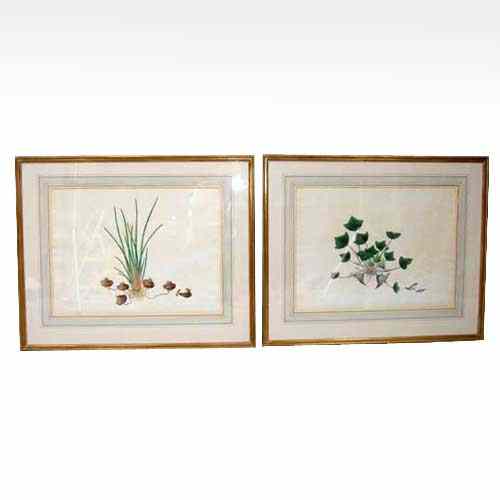 Appraisal: A Pair of Watercolor Botanical Paintings th century Height x