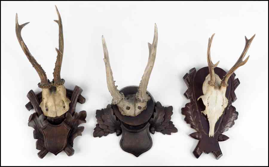 Appraisal: THREE PAIRS OF ANTLERS On black forest mounts Condition No