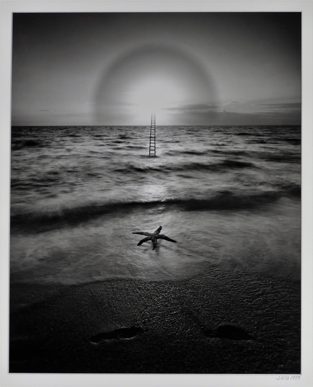 Appraisal: JERRY UELSMANN BEACH LADDER STARFISH SURREAL PHOTO Michigan b Untitled