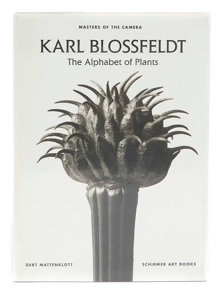 Appraisal: PHOTOGRAPHY BLOSSFELDT LANDSCAPE amp FLORA titles including four cloth collections