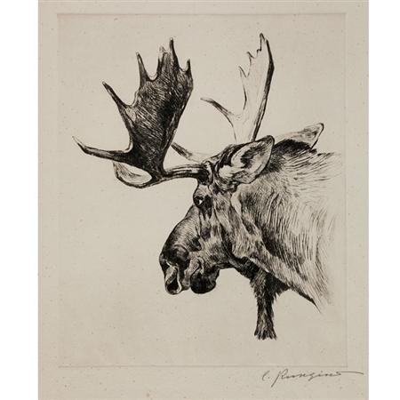 Appraisal: Carl Rungius YOUNG BULL Etching and drypoint Estimate -