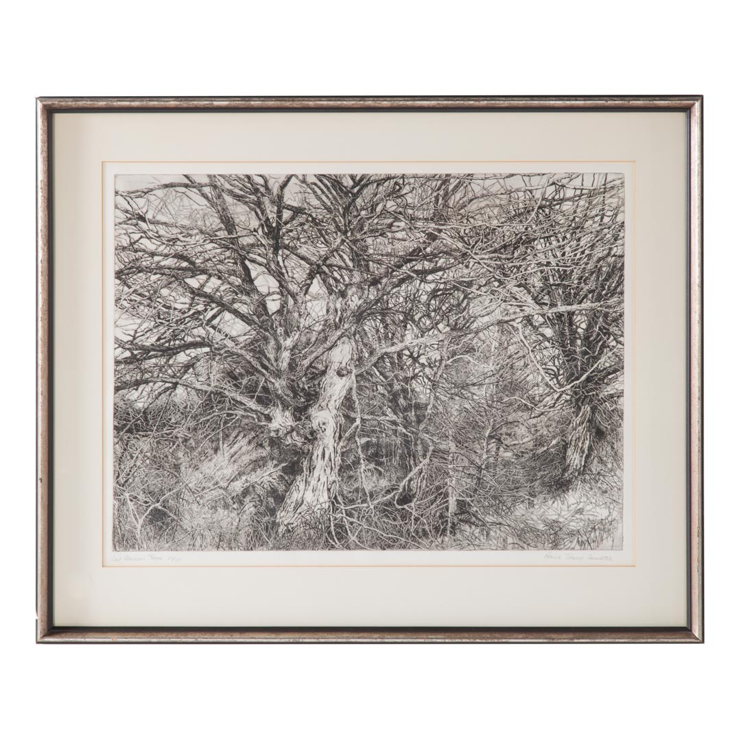 Appraisal: Patricia T Forester Last Warren Trees etching Patricia Tobacco Forester