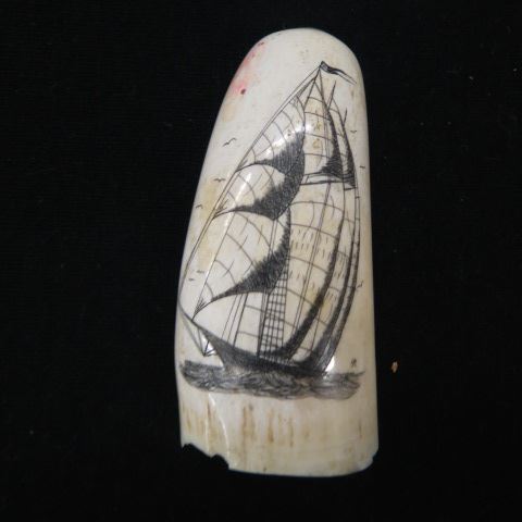 Appraisal: Scrimshaw Whale's Tooth sailing ship signed