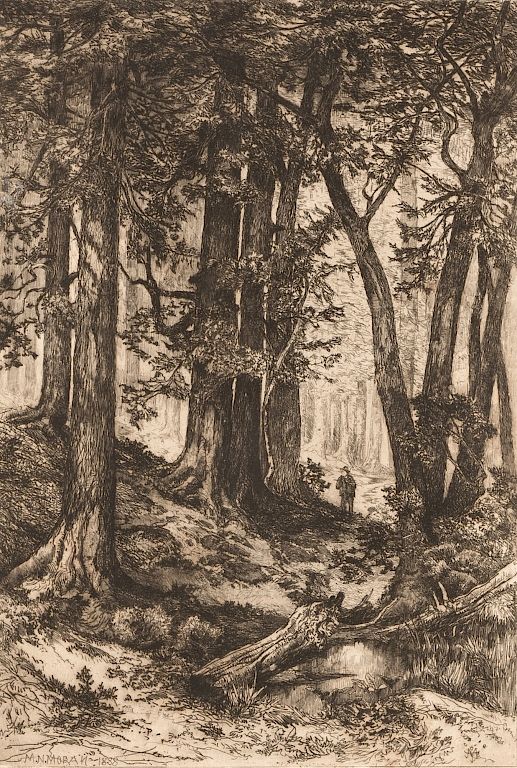 Appraisal: Mary Nimmo Moran Interior of California Forest Interior of a