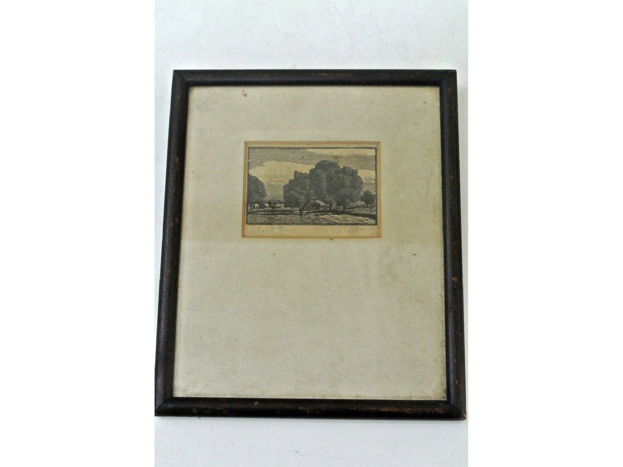 Appraisal: A black and white etching by Gwen Raverat of a