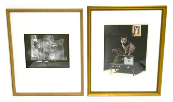 Appraisal: Two th C Photographs Olivia Parker American b gelatin silver