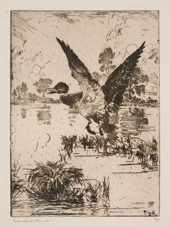 Appraisal: FRANK W BENSON Mallard Rising Etching x mm x inches