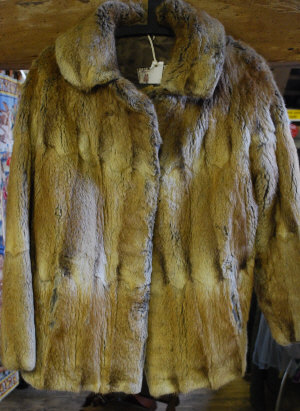 Appraisal: Pale brown musquash fur jacket with label for Marguerite Furrier