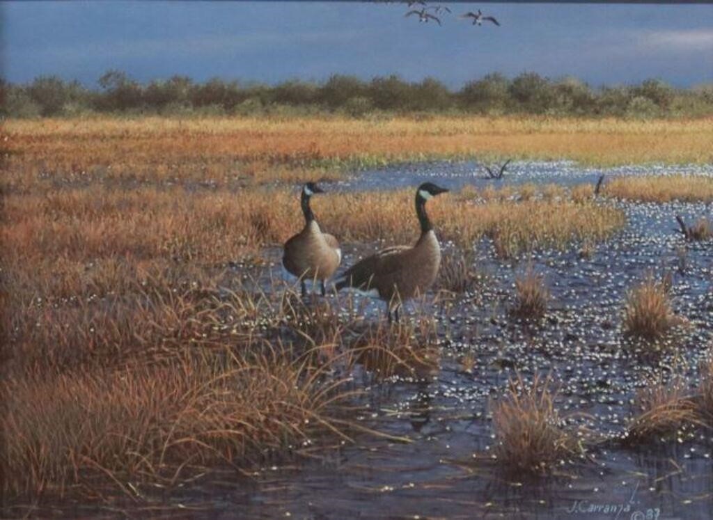 Appraisal: Framed oil on board painting Canada Geese signed lower right