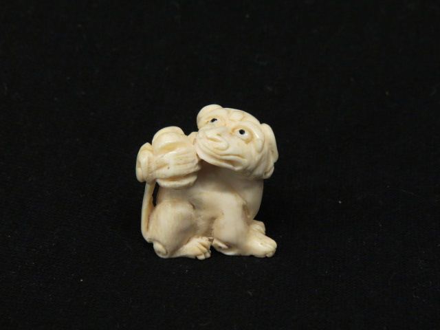 Appraisal: Carved Ivory Netsuke of a Dog flower on his tail