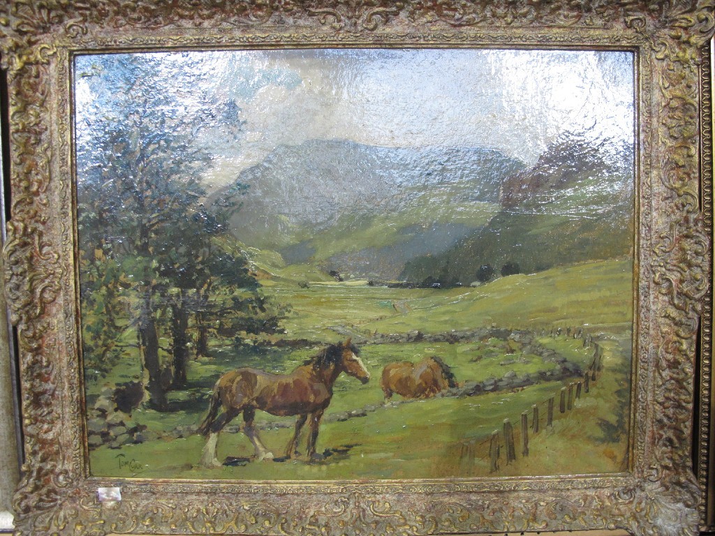 Appraisal: Oil on board 'Horses in a Valley' signed TOMM CURR