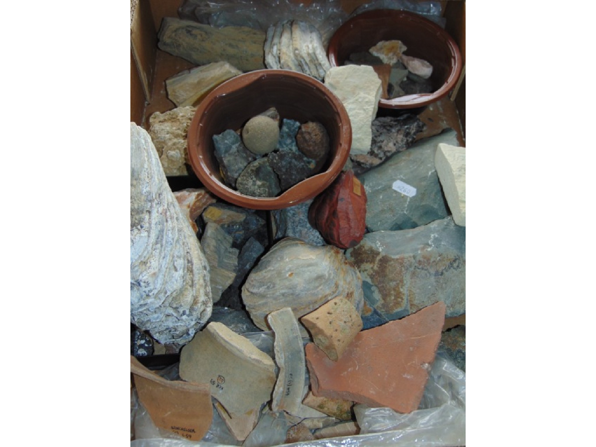 Appraisal: A box containing an assortment of fossil and mineral samples