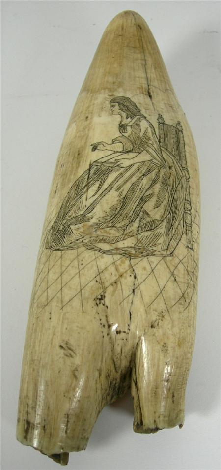 Appraisal: SCRIMSHAW WHALE'S TOOTH TH CENTURY engraved with a seated lady