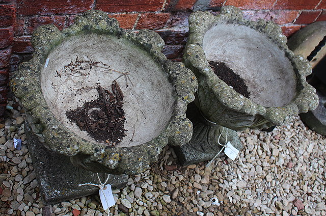 Appraisal: A PAIR OF CONCRETE GARDEN URNS with acanthus leaf decoration