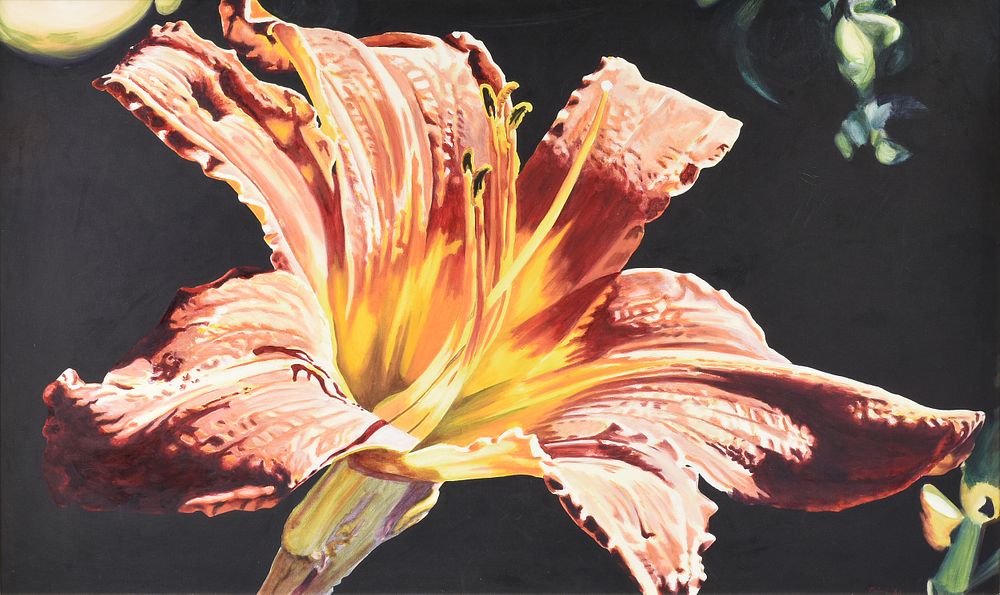 Appraisal: AILEEN MALONE Irish th st Century A PAINTING Red Daylily