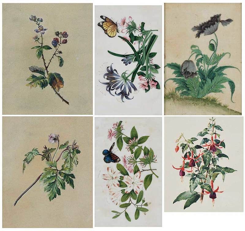 Appraisal: Group of Six Framed Botanical Watercolors th- th century Includes