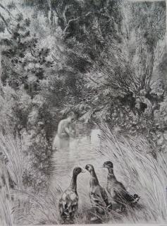 Appraisal: Felix Bracquemond etching Felix Bracquemond French - - ''Canards Surpris''-