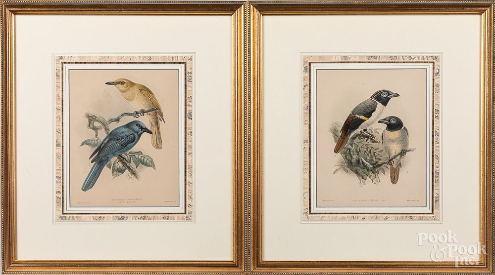 Appraisal: Eight bird and butterfly prints Provenance The Eight bird and