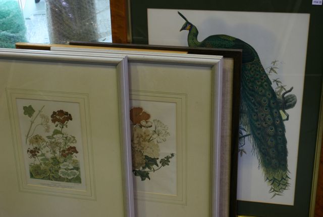 Appraisal: Two botanical prints a large print of Peacocks and two