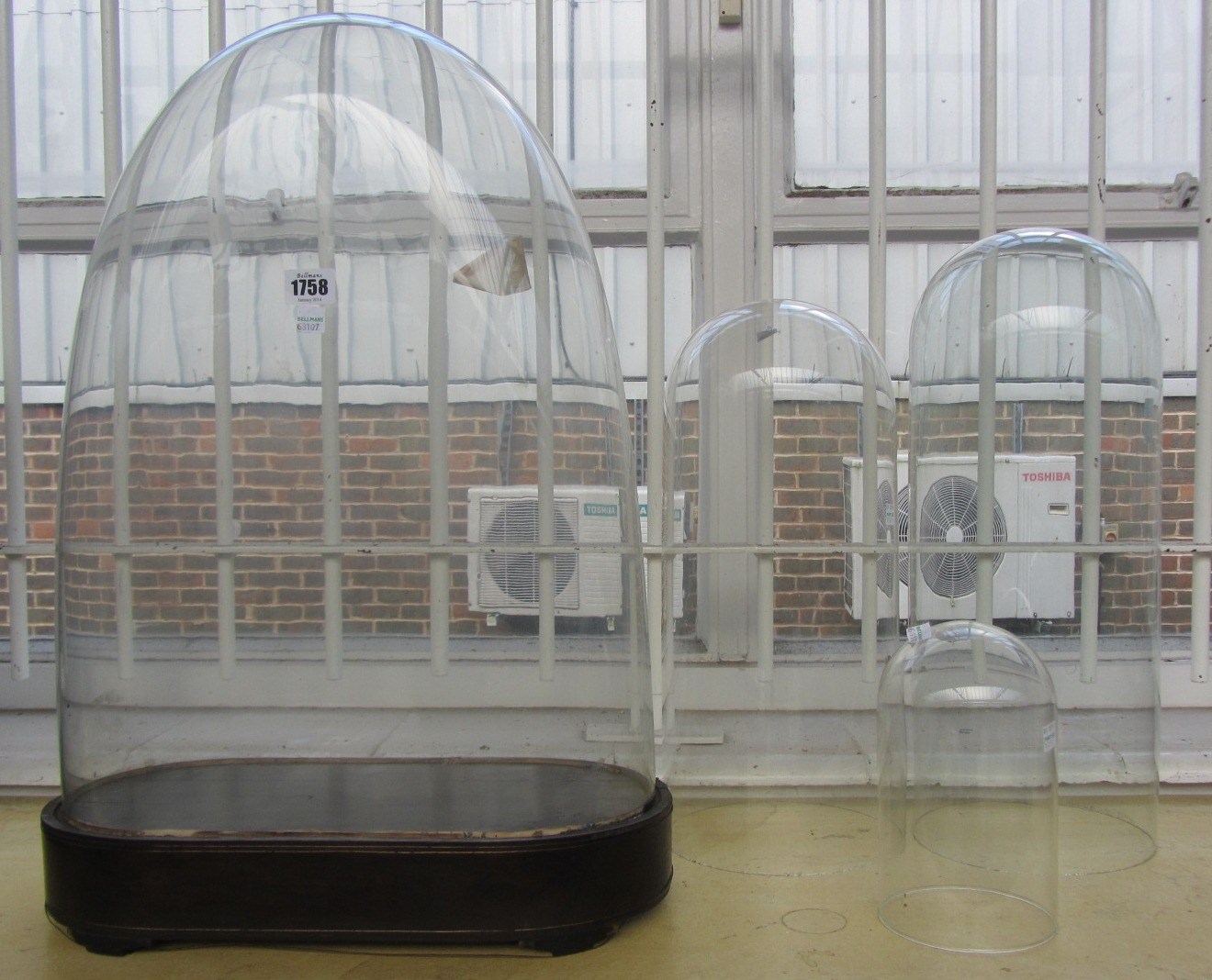 Appraisal: A large glass oval dome on wooden base cm high