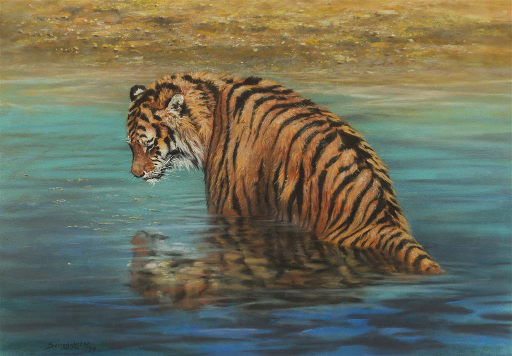 Appraisal: JOHN SEEREY-LESTER AMERICAN B TIGER IN A RIVER signed and