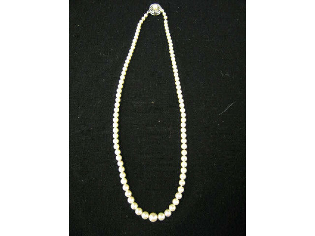 Appraisal: Pearl Necklace graduated pearls measuring from to mm cream rose