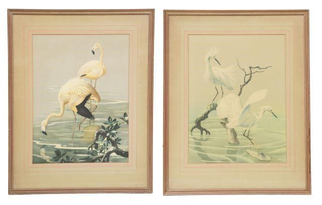 Appraisal: lot of Framed offset lithographs on paper after Roger Tory